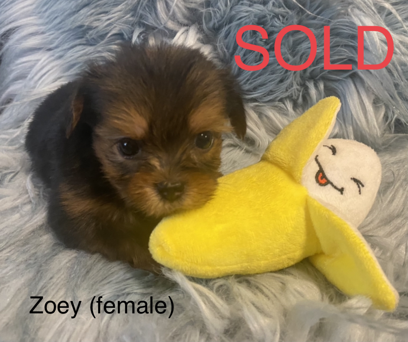 Zoey
